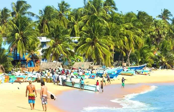 Srilanka Tour Package